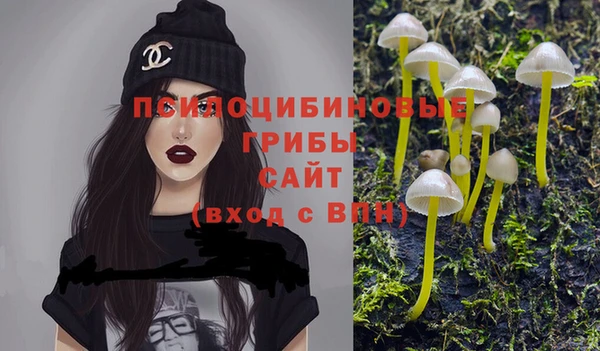 apvp Абинск