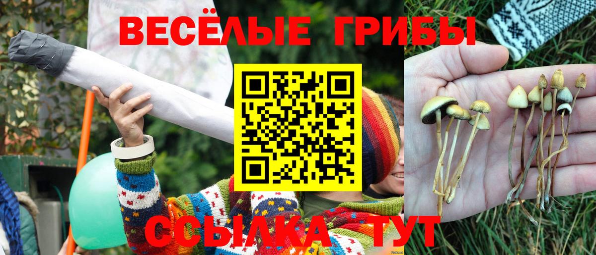 Галлюциногенные грибы Magic Shrooms Зеленодольск