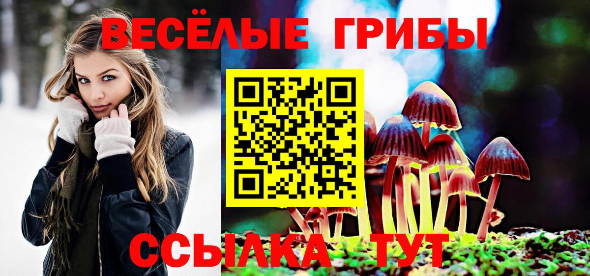 Зеленодольск  Псилоцибиновые грибы GOLDEN TEACHER  Псилоцибиновые грибы Cubensis  Вход с VPN 